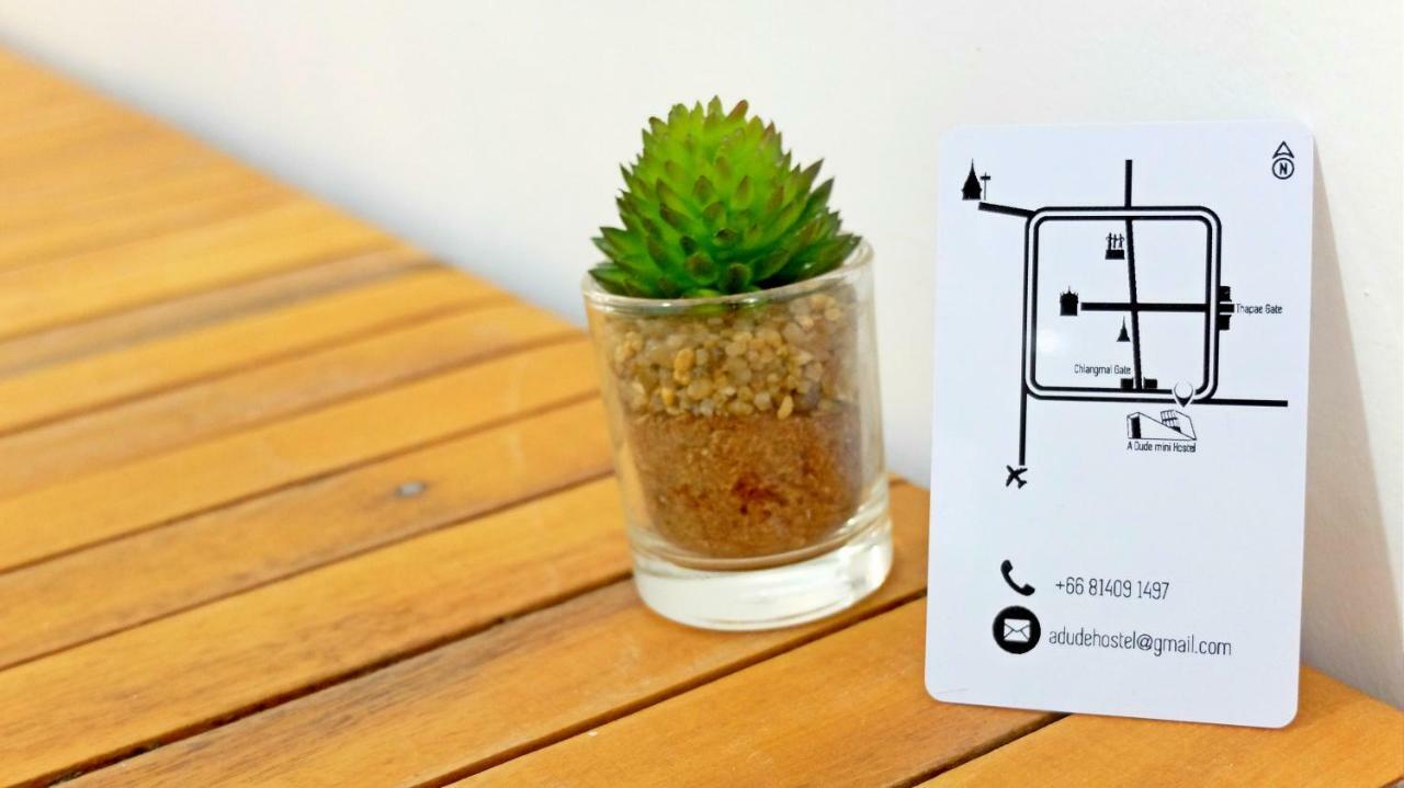 A Dude Mini Hostel (Adults Only) 치앙마이 외부 사진